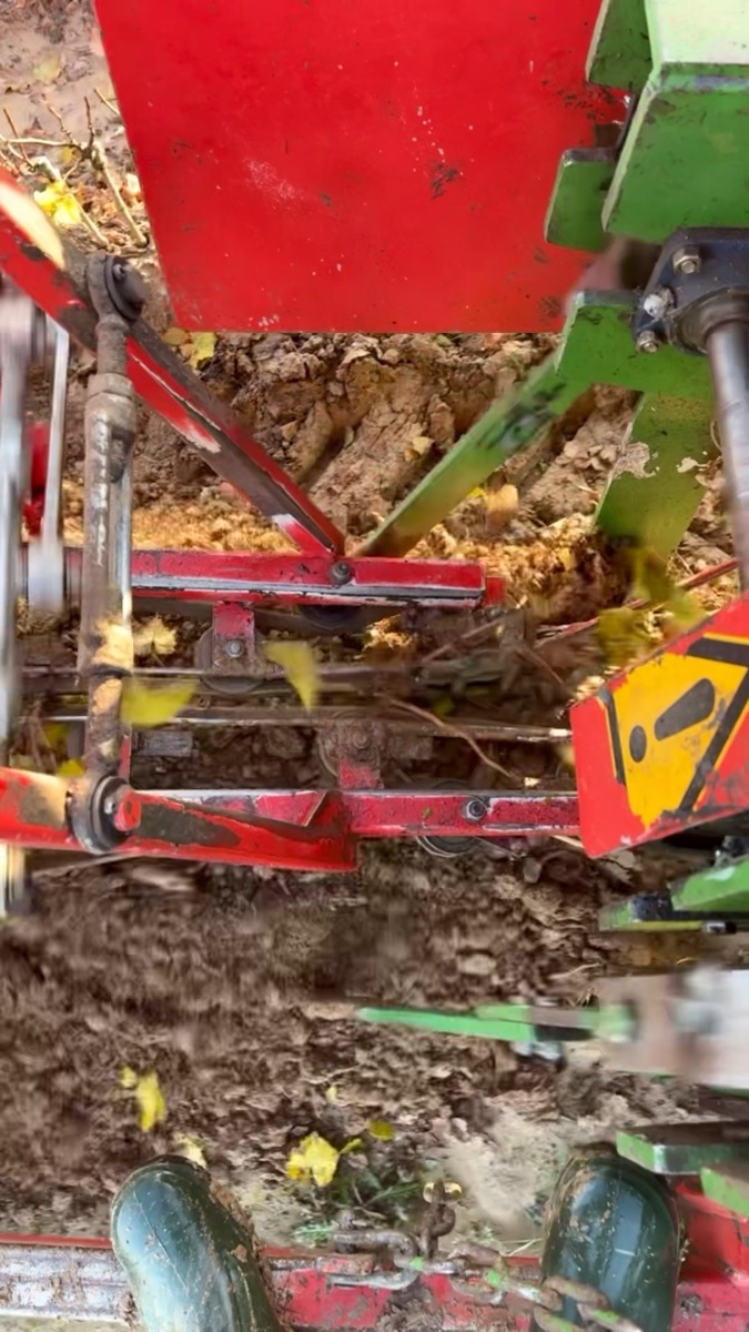 Entwicklung der Reben: November bis Dezember (Video)